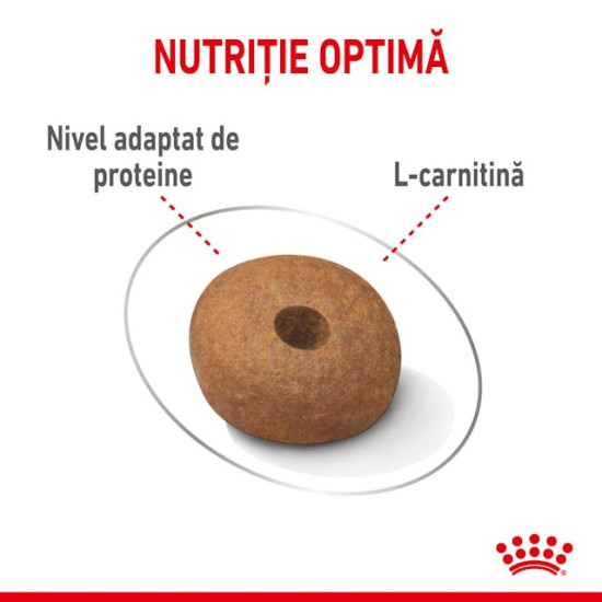 Royal Canin Medium Light Weight Care Adult – Hrană Uscată pentru Câini de Talie Medie cu Tendință de Îngrășare – 12 kg